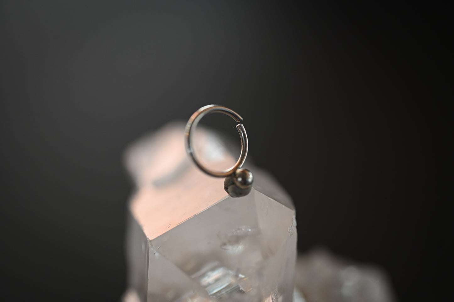 Septum Bolita